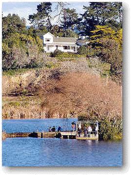 Camp Otaki