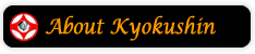 about kyokushin